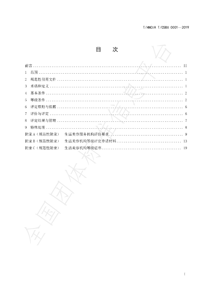T/HNCIA T/CSBX0001-2019 标准预览