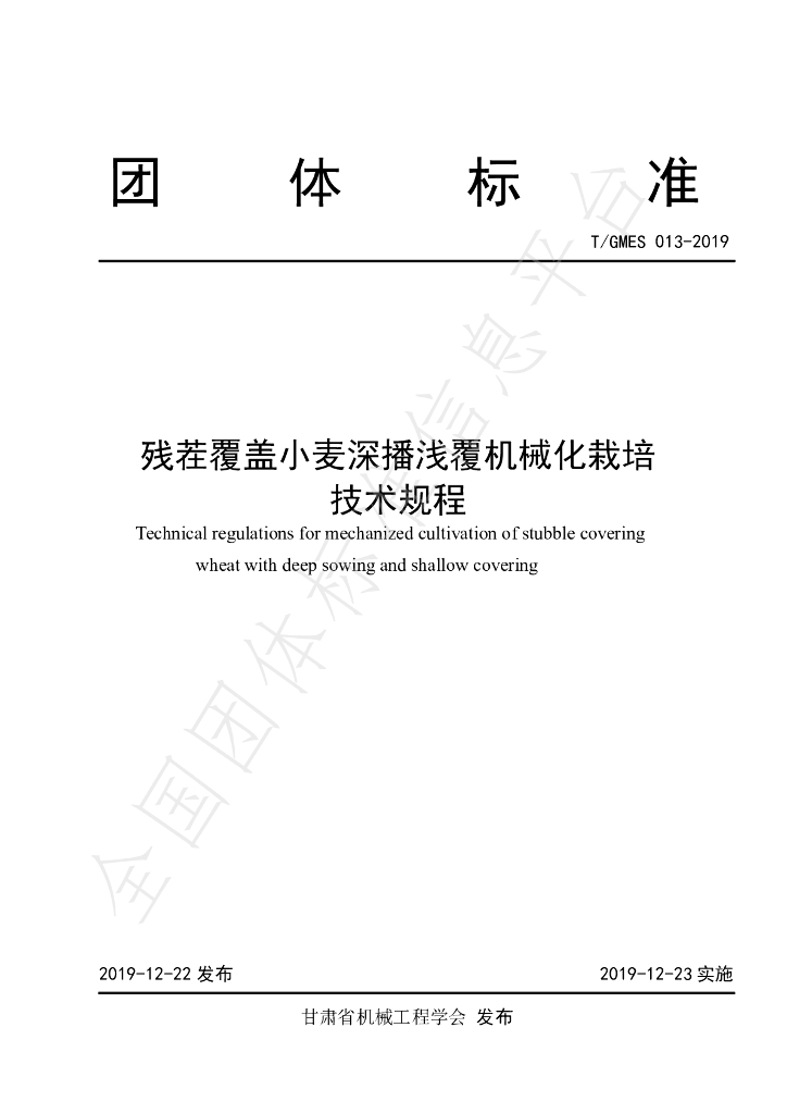 T/GMES 013-2019 标准预览