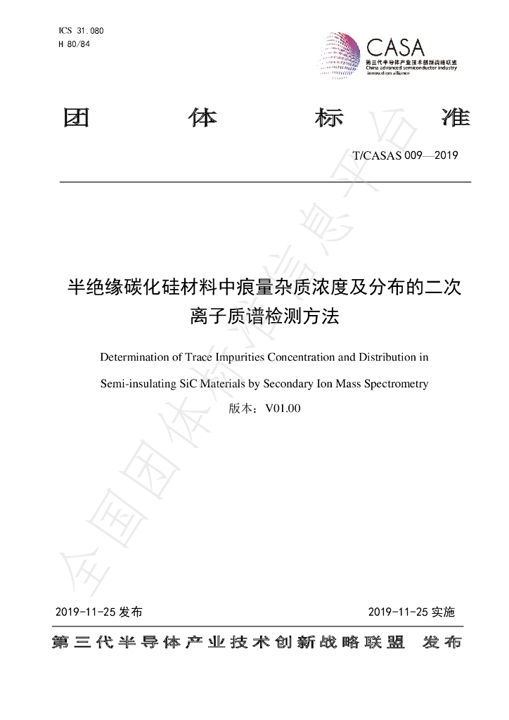 T/CASAS 009-2019 标准预览