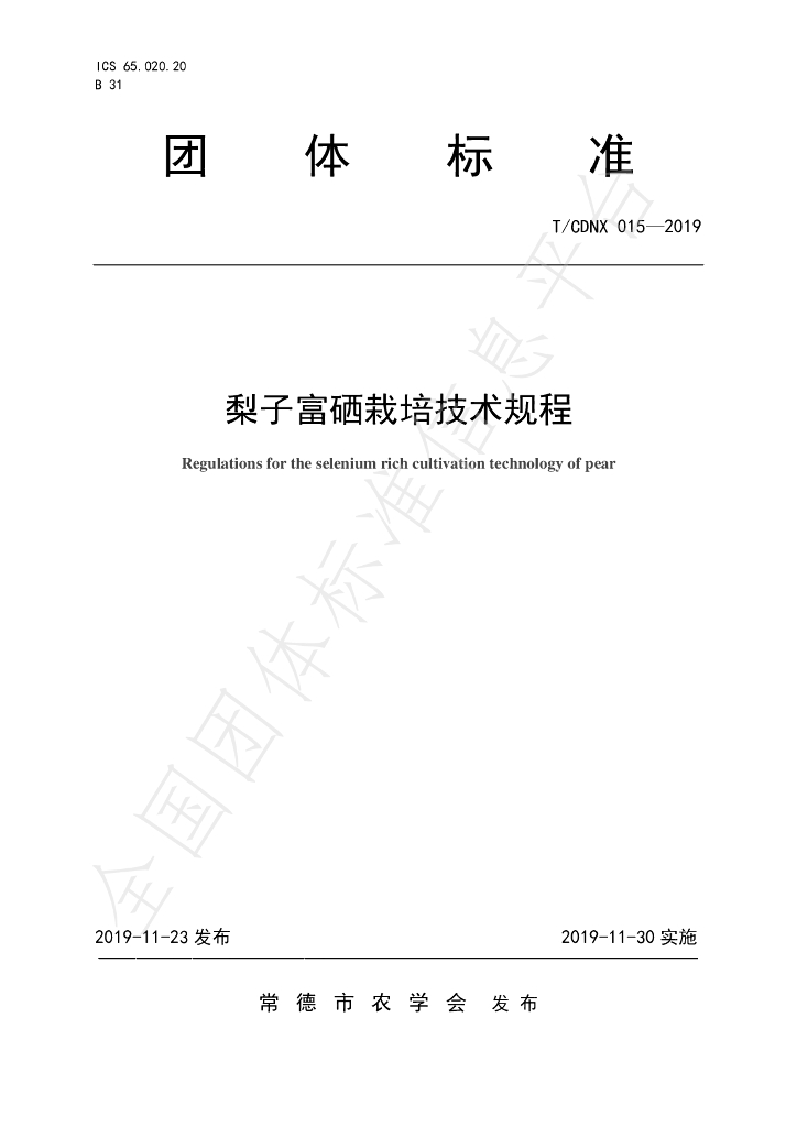T/CDNX 015-2019 标准预览