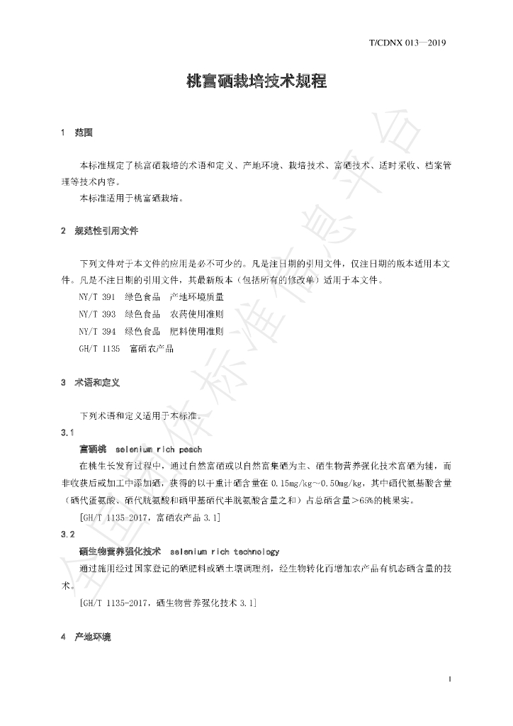 T/CDNX 013-2019 标准预览