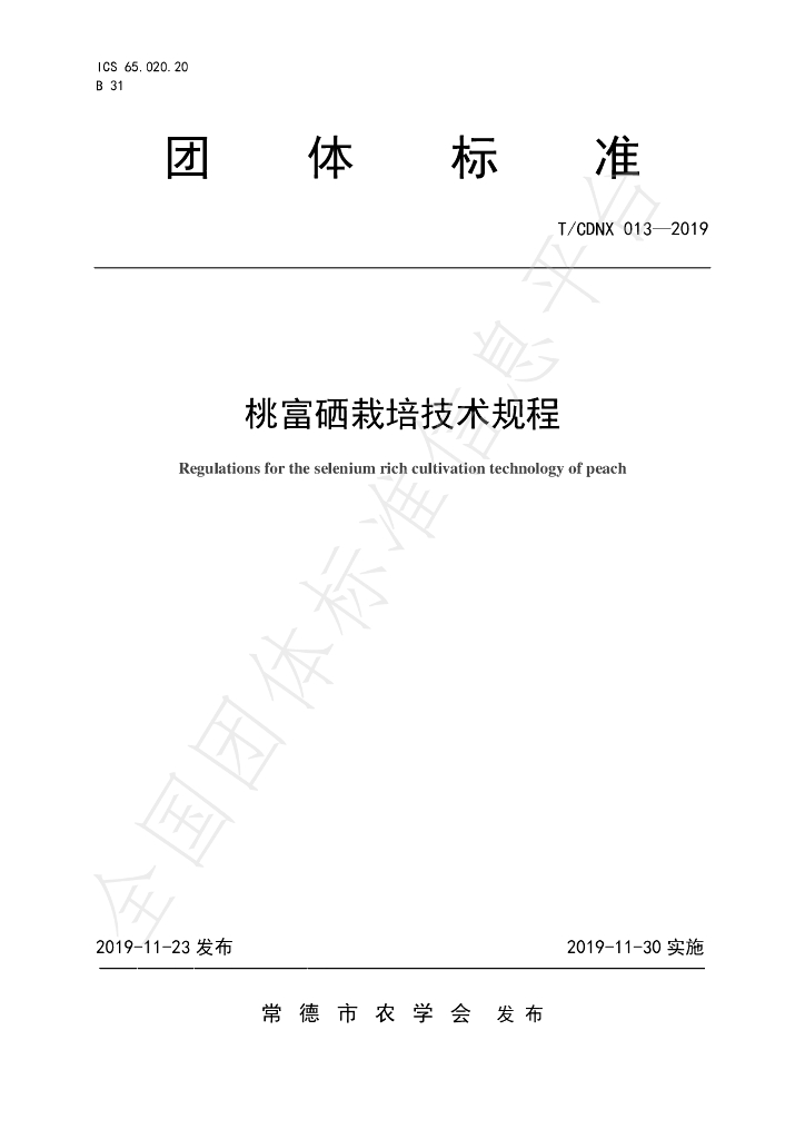 T/CDNX 013-2019 标准预览