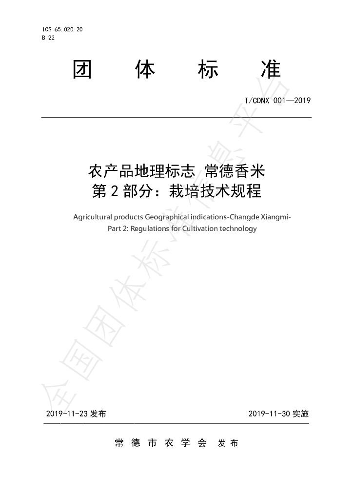 T/CDNX 001-2019 标准预览