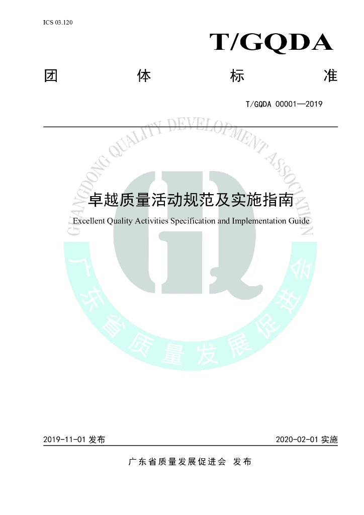 T/GQDA 00001-2019 标准预览