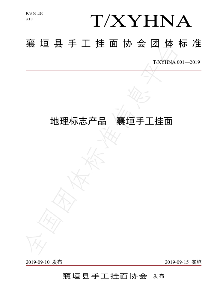 T/XYHNA 001-2019 标准预览