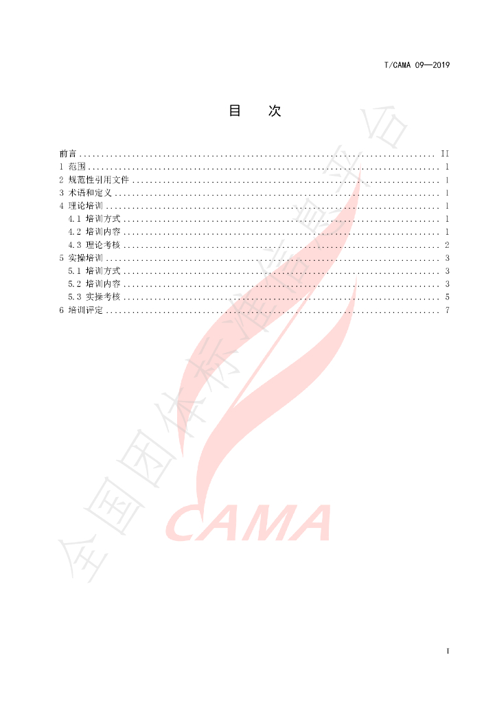 T/CAMA 09-2019 标准预览