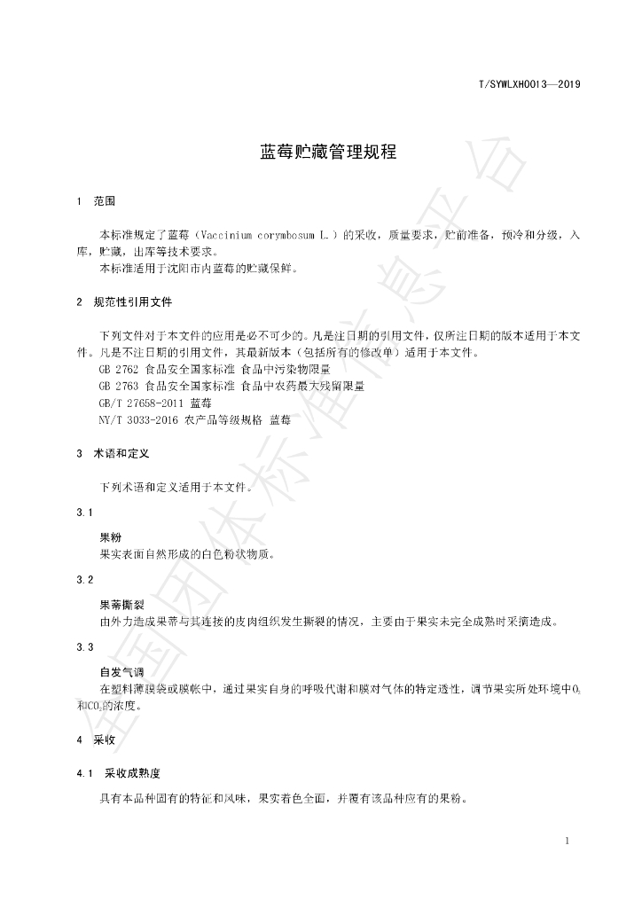 T/SYWLXH 0013-2019 标准预览