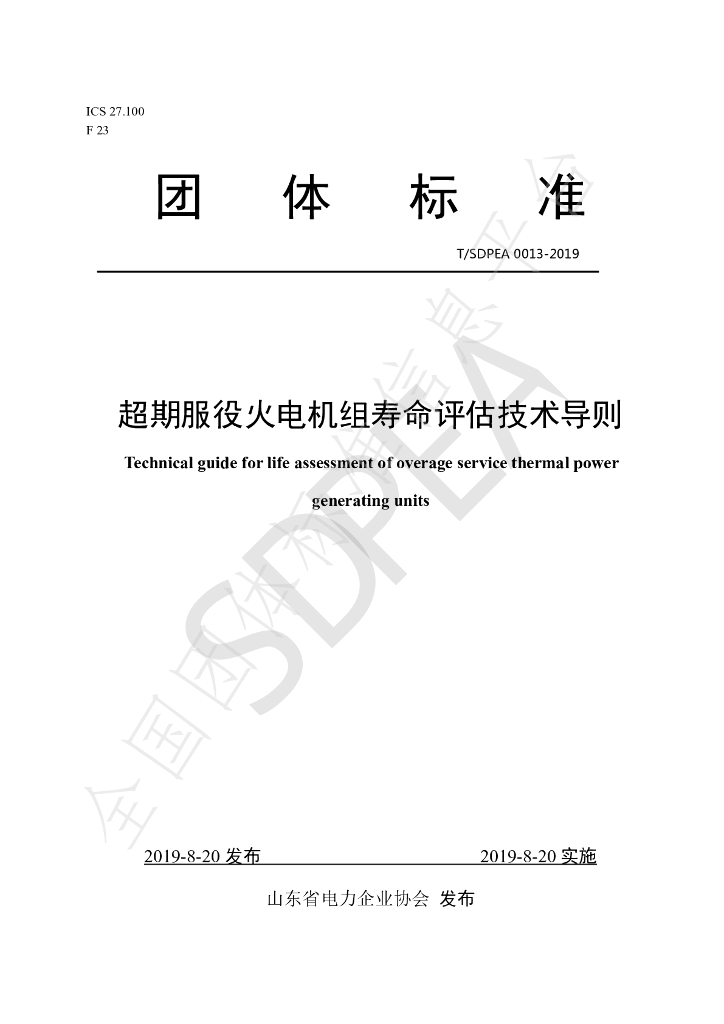 T/SDPEA 0013-2019 标准预览