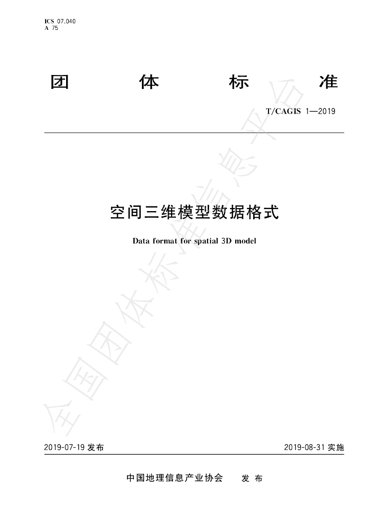 T/CAGIS 1-2019 标准预览