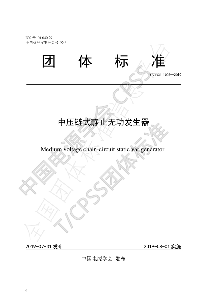 T/CPSS 1005-2019 标准预览