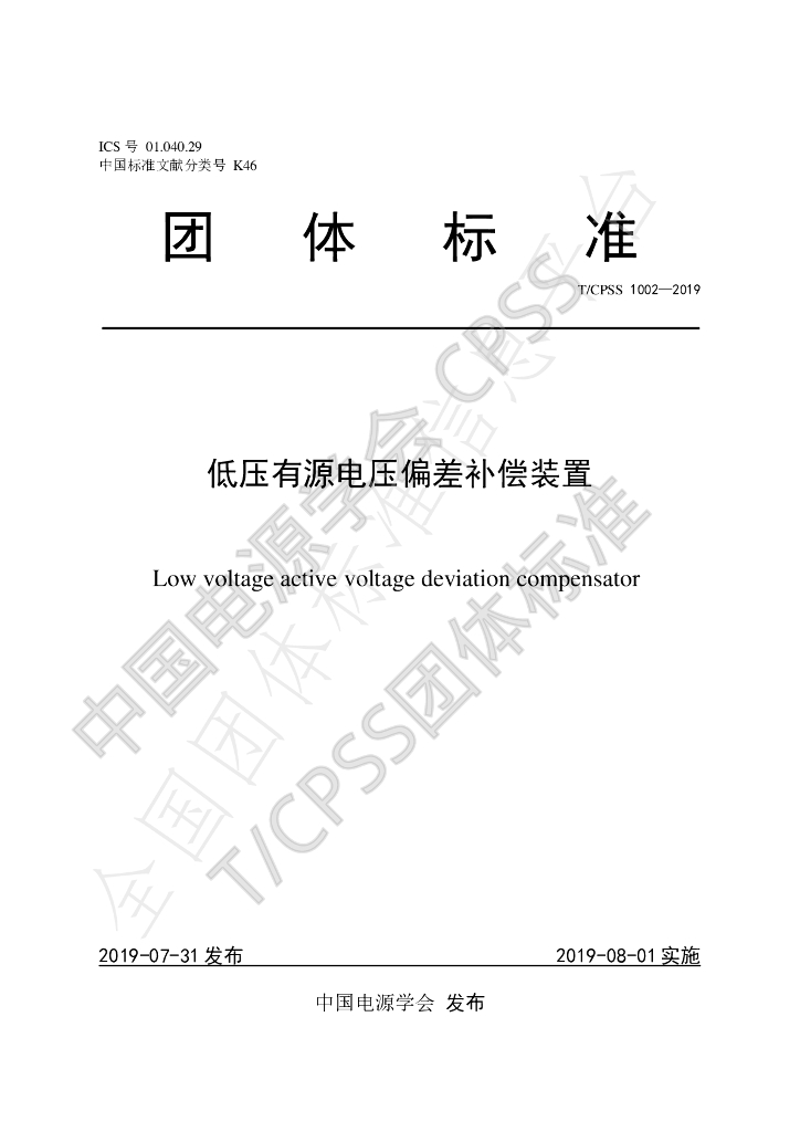 T/CPSS 1002-2019 标准预览