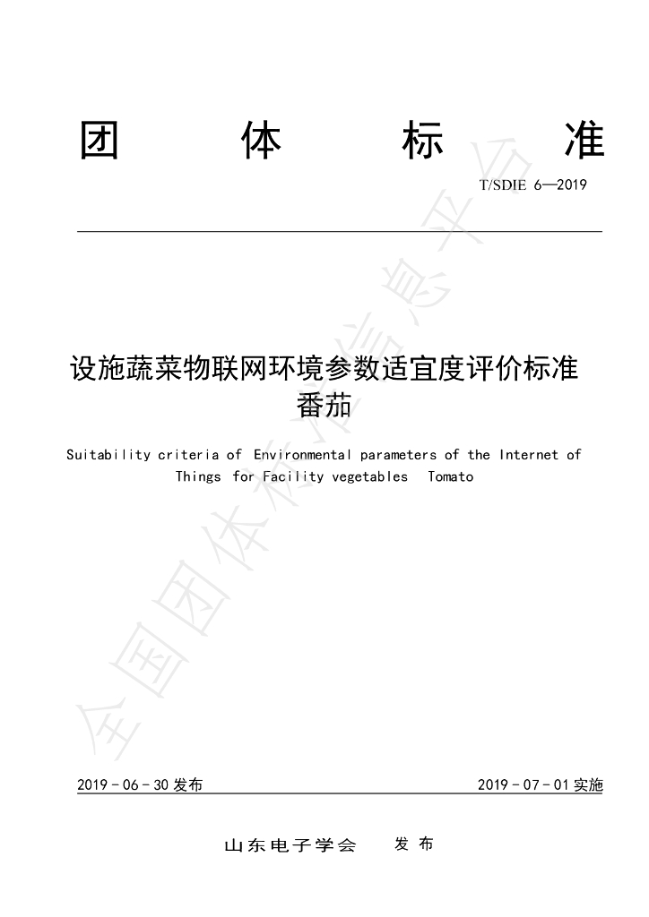 T/SDIE 6-2019 标准预览