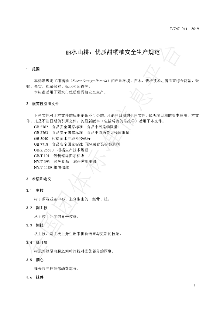 T/LSSGB 011-2019 标准预览