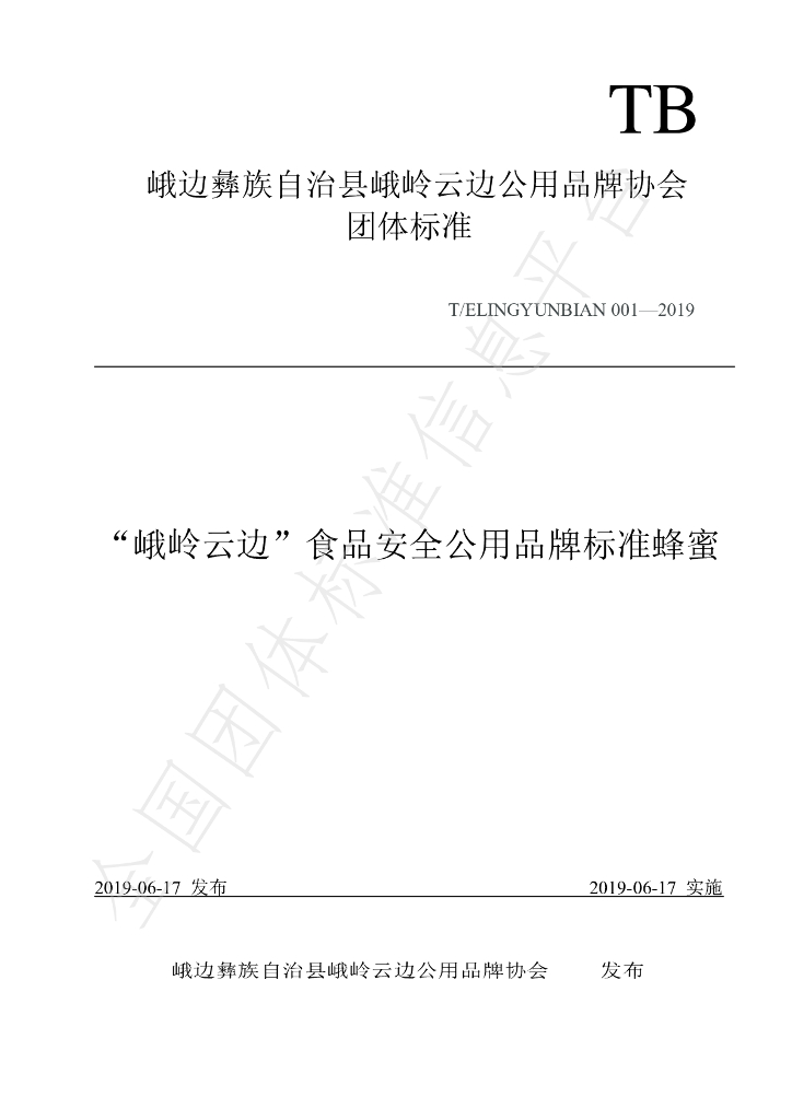 T/ELINGYUNBIAN 001-2019 标准预览
