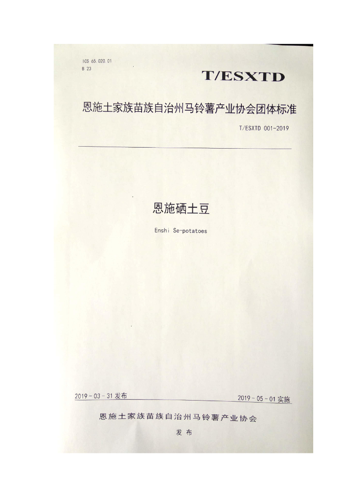 T/ESXTD 001-2019 标准预览