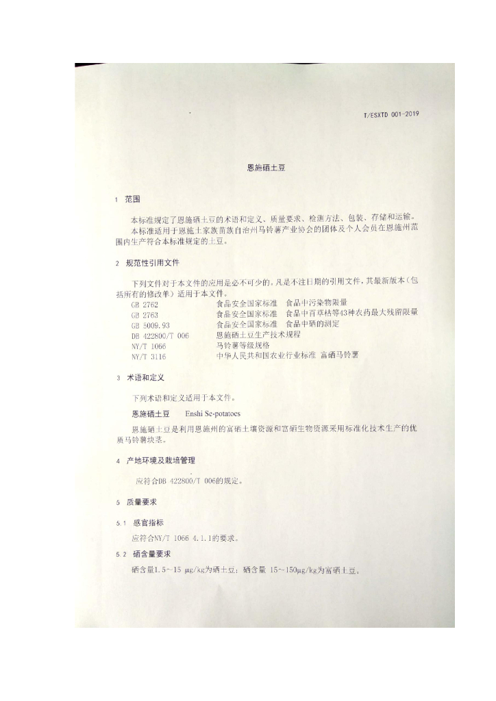T/ESXTD 001-2019 标准预览