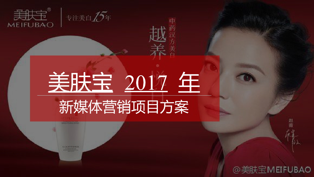 知名化妆品品牌美肤宝新媒体营销策划年度方案（精品案）