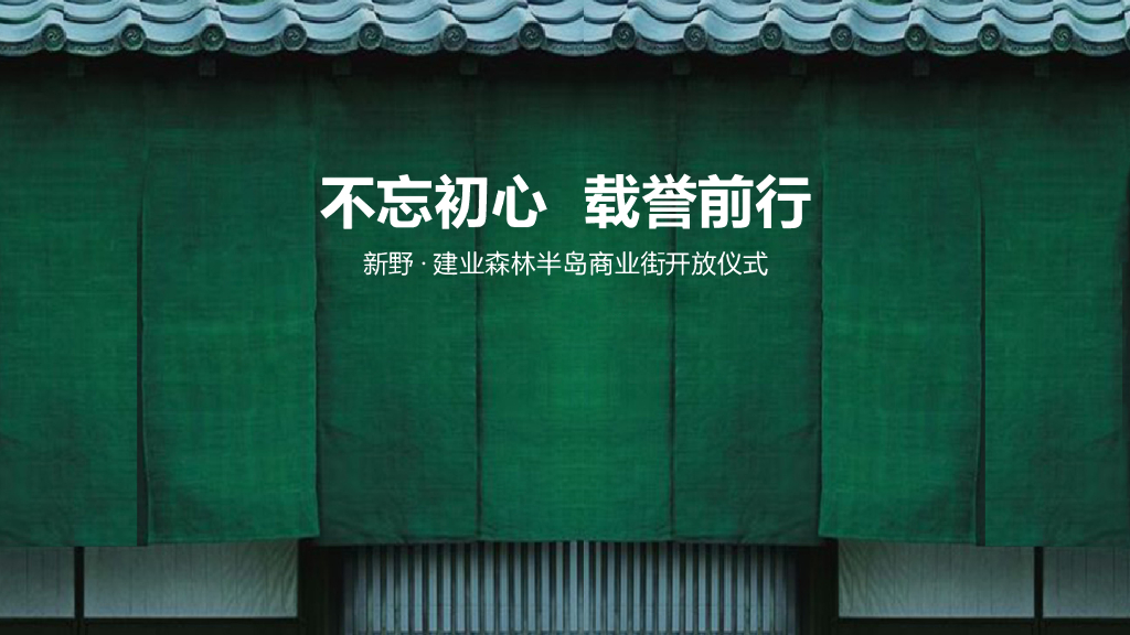 2017新野森林半岛商业街开放活动方案