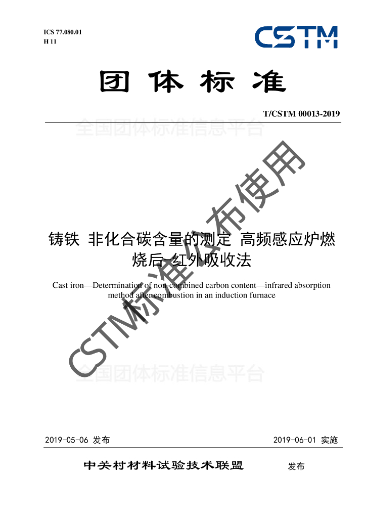 T/CSTM 00013-2019 标准预览