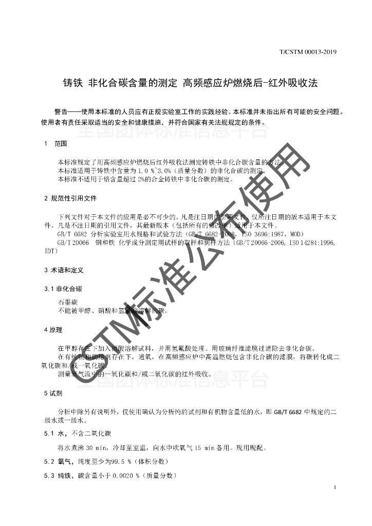 T/CSTM 00013-2019 标准预览