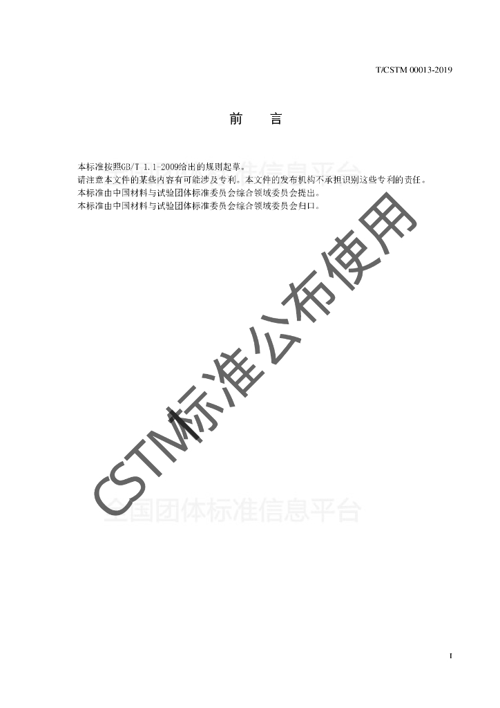 T/CSTM 00013-2019 标准预览