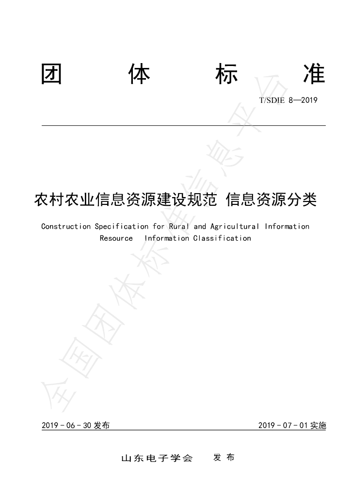 T/SDIE 8-2019 标准预览