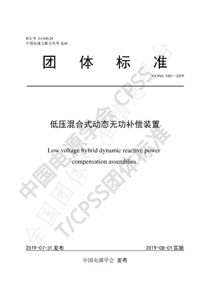T/CPSS 1001-2019 标准预览