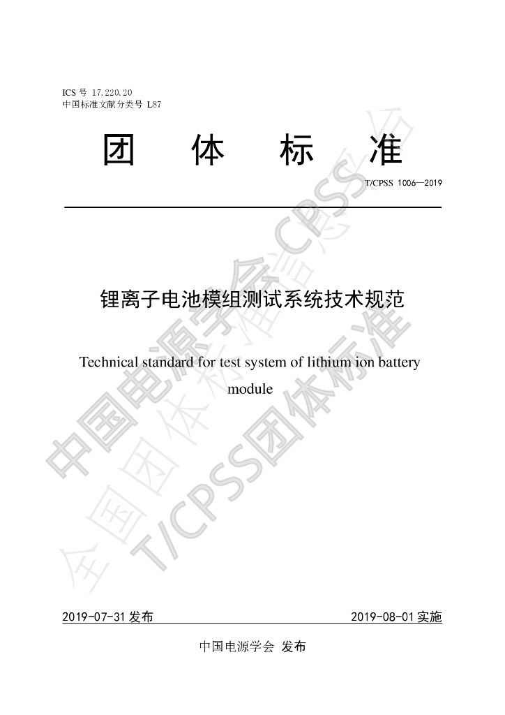 T/CPSS 1006-2019 标准预览