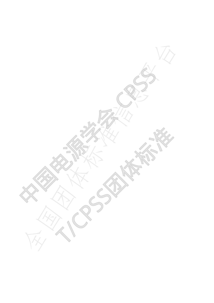 T/CPSS 1006-2019 标准预览