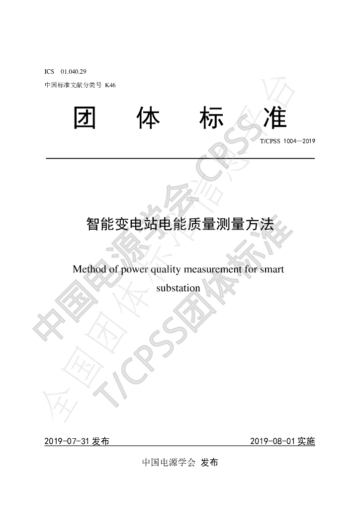 T/CPSS 1004-2019 标准预览