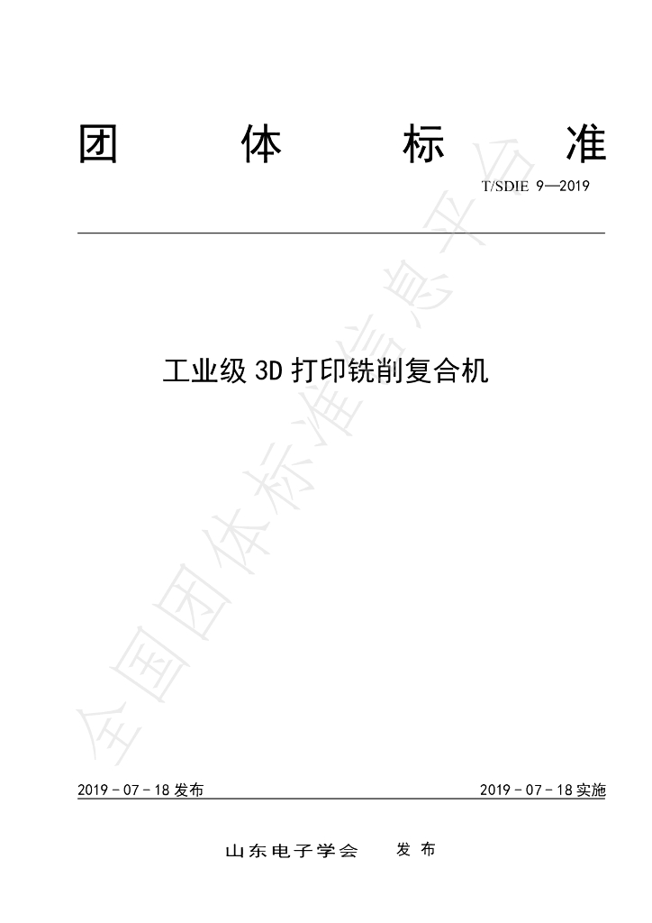 T/SDIE 9-2019 标准预览