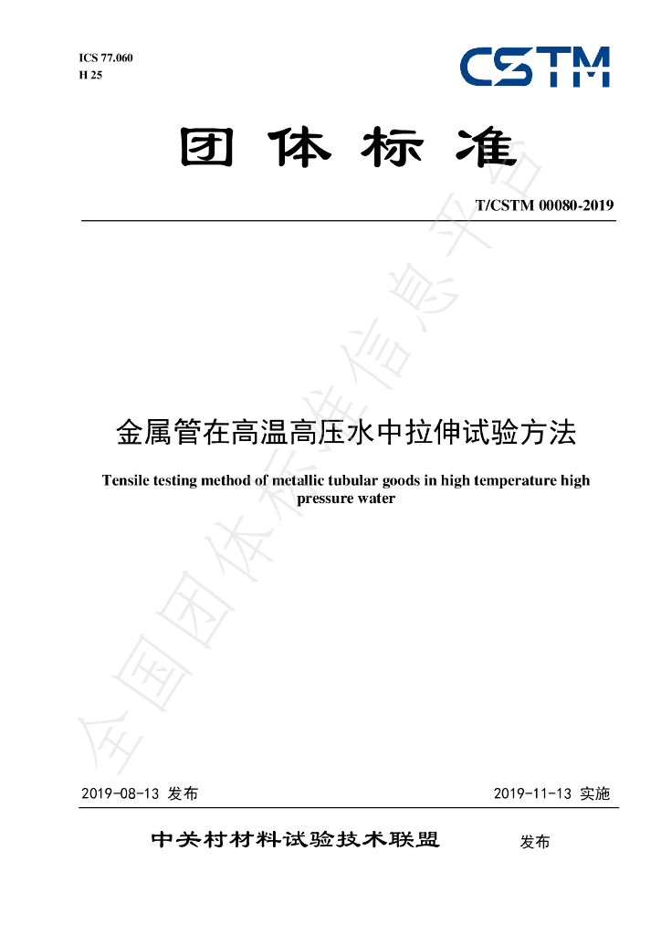 T/CSTM 00080-2019 标准预览