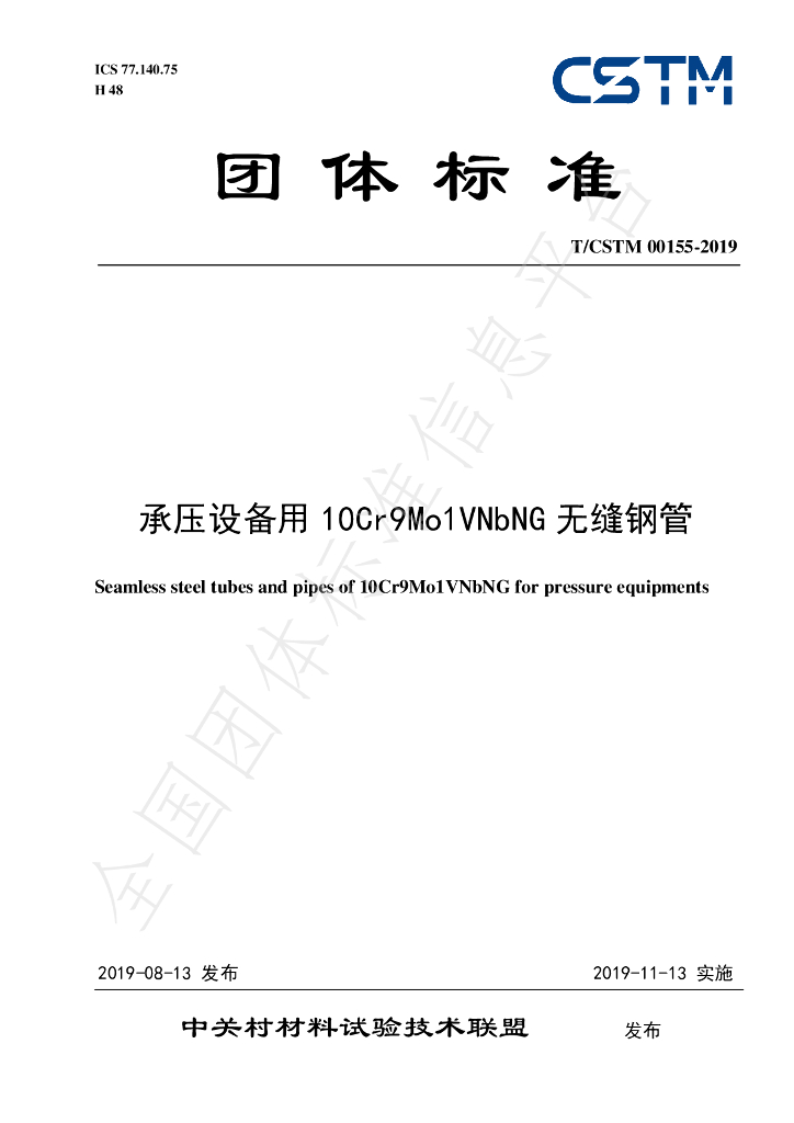 T/CSTM 00155-2019 标准预览