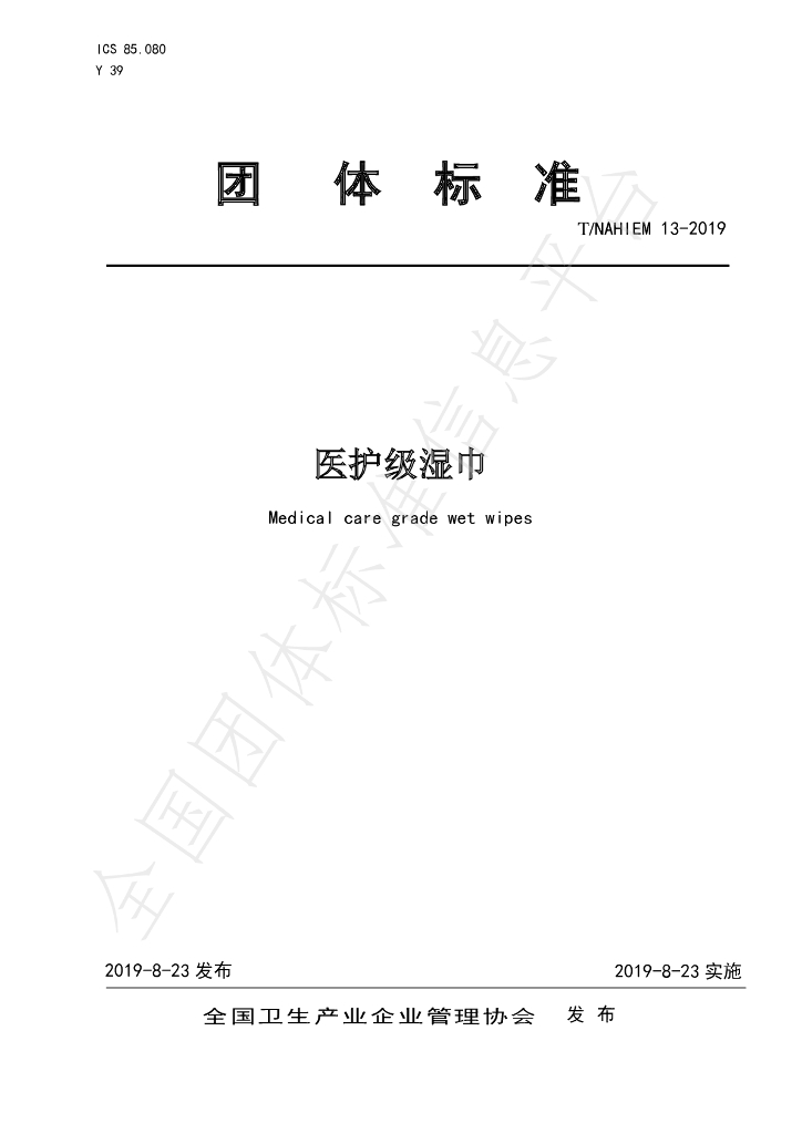 T/NAHIEM 13-2019 标准预览