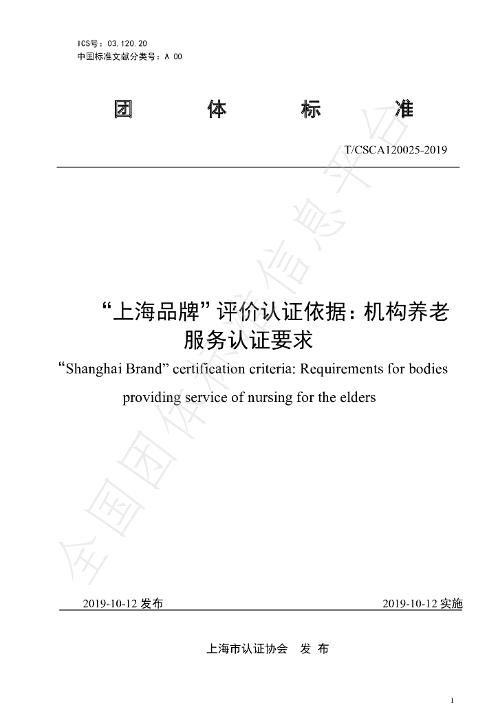 T/CSCA 120025-2019 标准预览