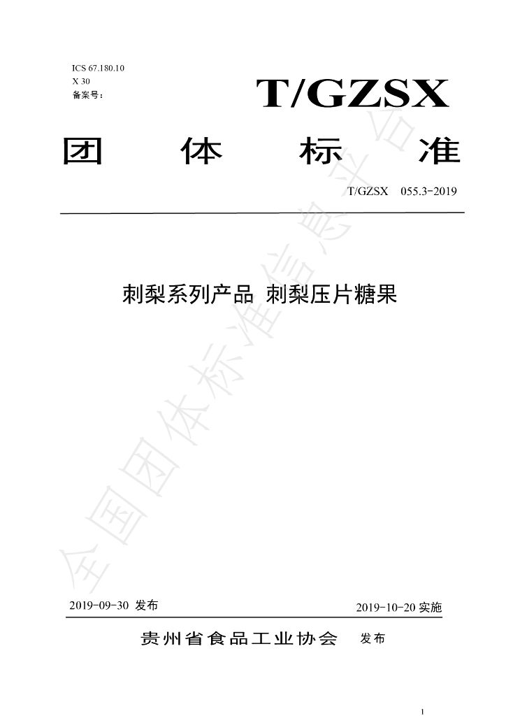 T/GZSX 055.3-2019 标准预览