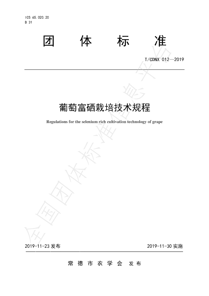 T/CDNX 012-2019 标准预览