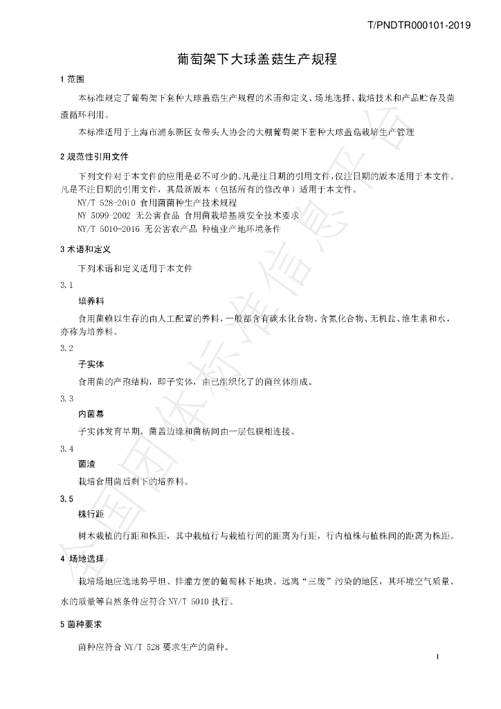 T/PNDTR 000101-2019 标准预览