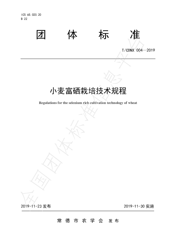 T/CDNX 004-2019 标准预览