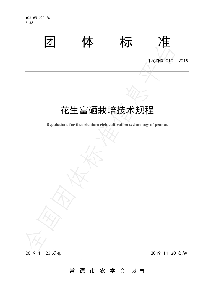 T/CDNX 010-2019 标准预览