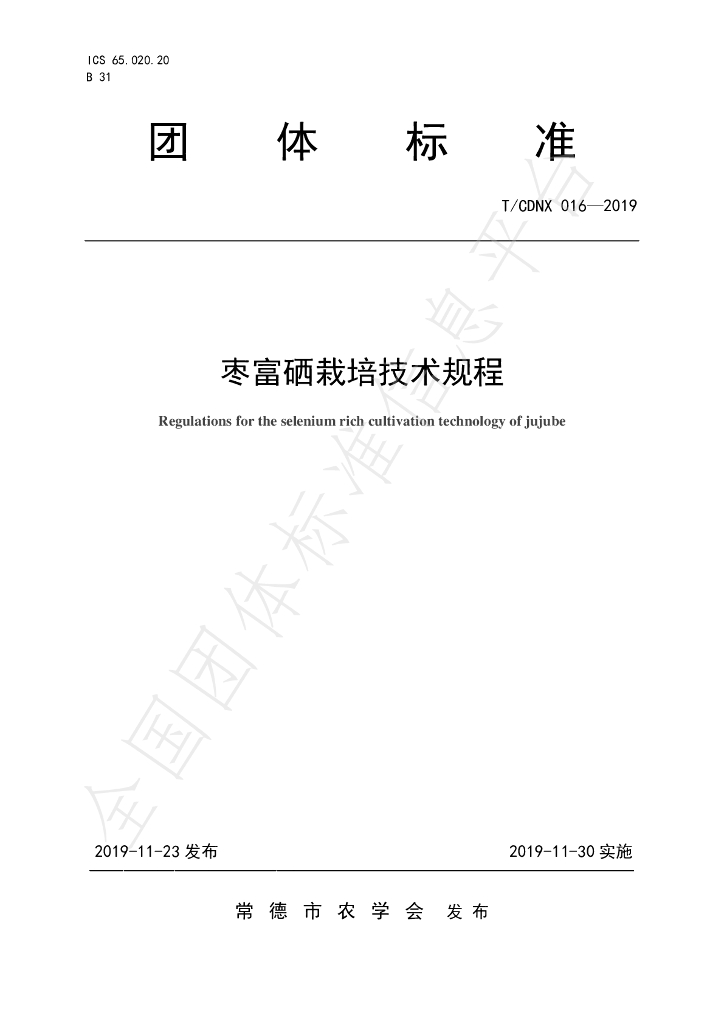 T/CDNX 016-2019 标准预览