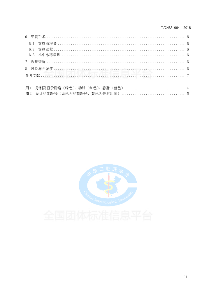T/CHSA 004-2018 标准预览