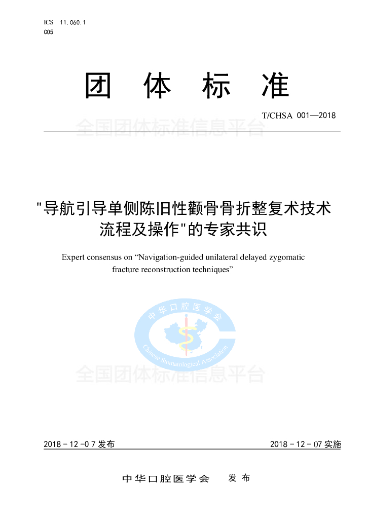 T/CHSA 001-2018 标准预览