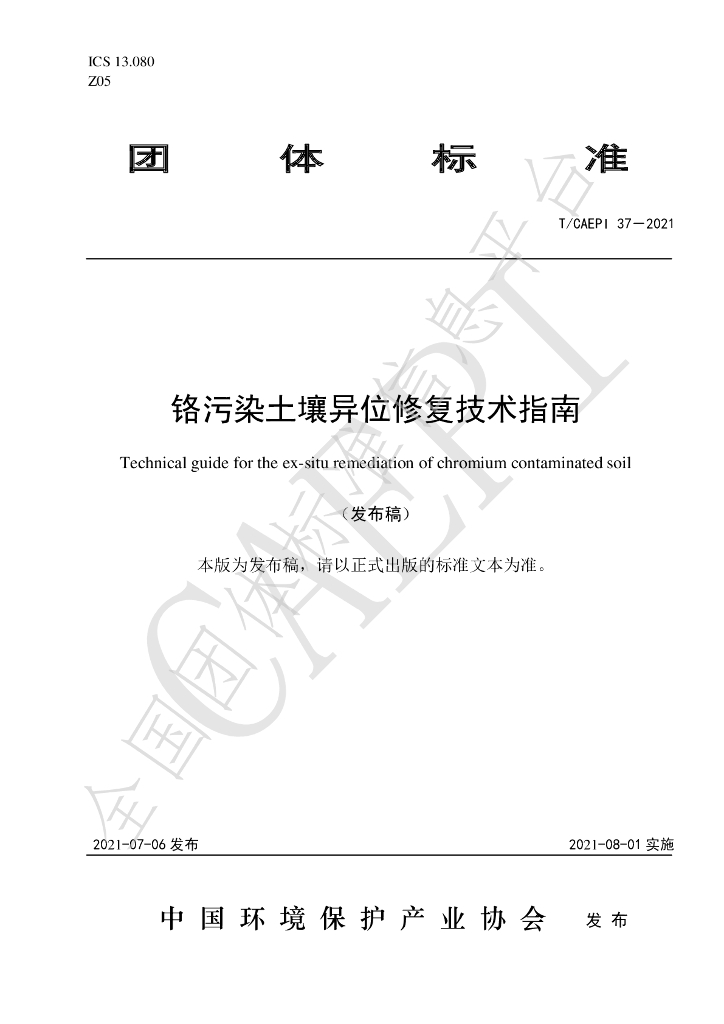T/CAEPI 37-2021 标准预览