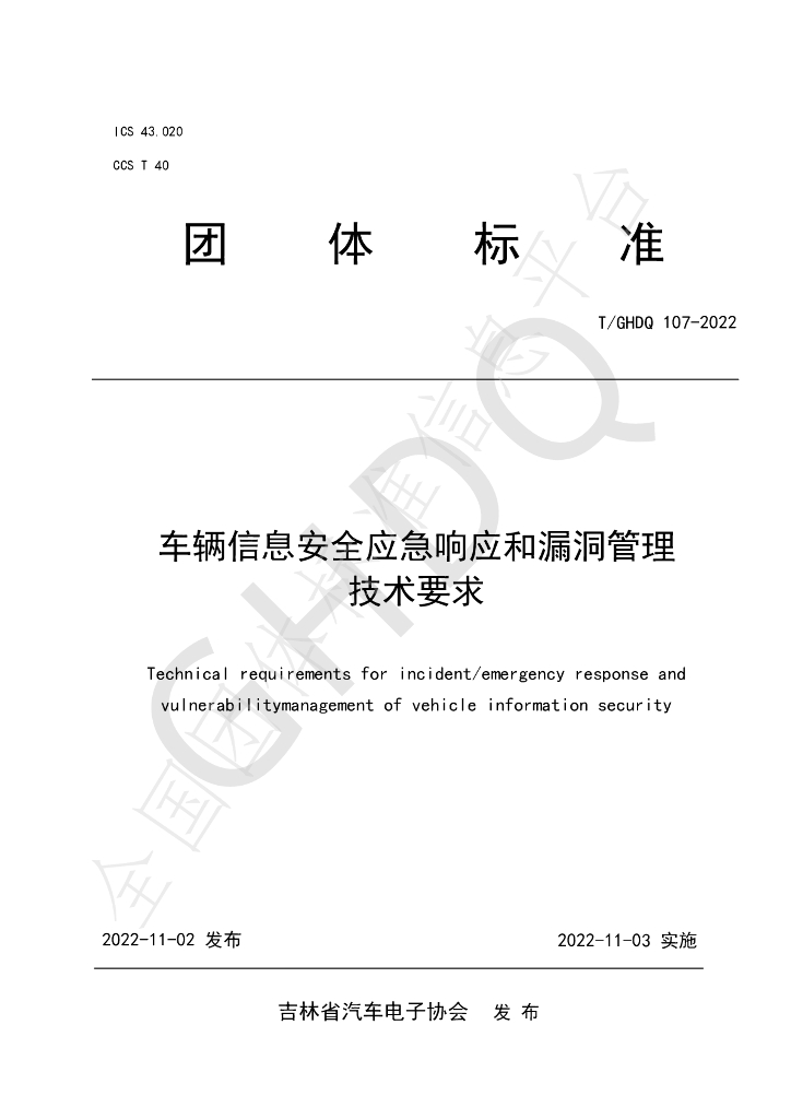 T/GHDQ 107-2022 标准预览