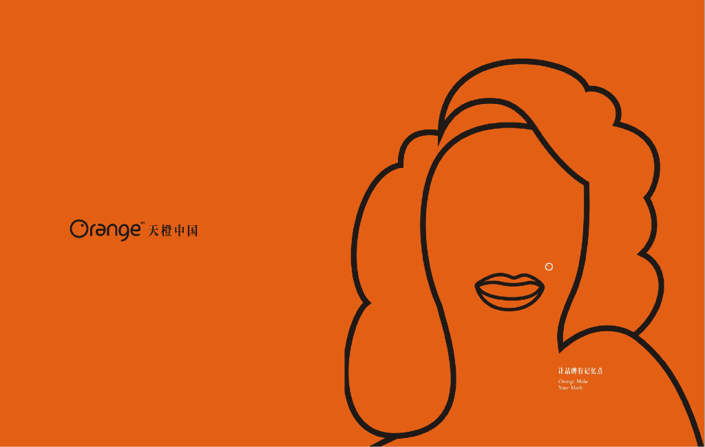 2017富力中心推广策略