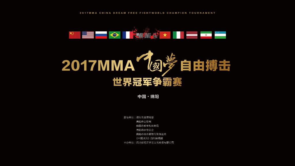 2017MMA中国梦自由搏击世界冠军争霸赛策划案