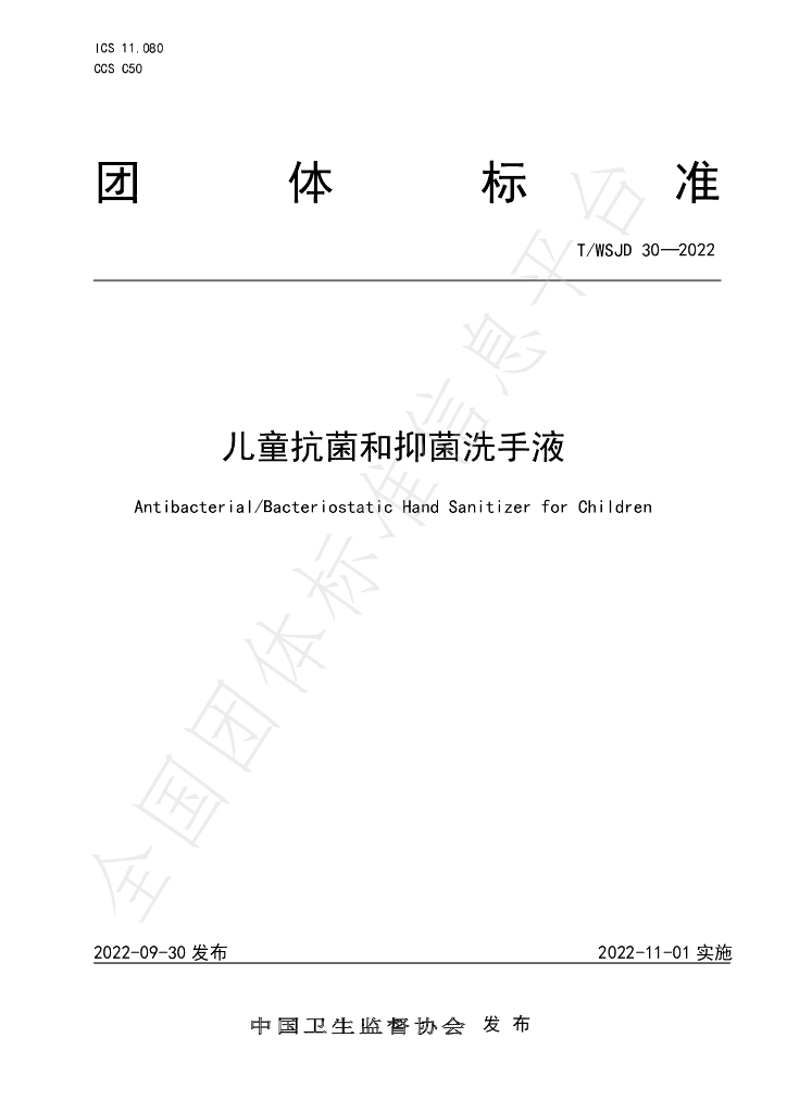 T/WSJD 30-2022 标准预览