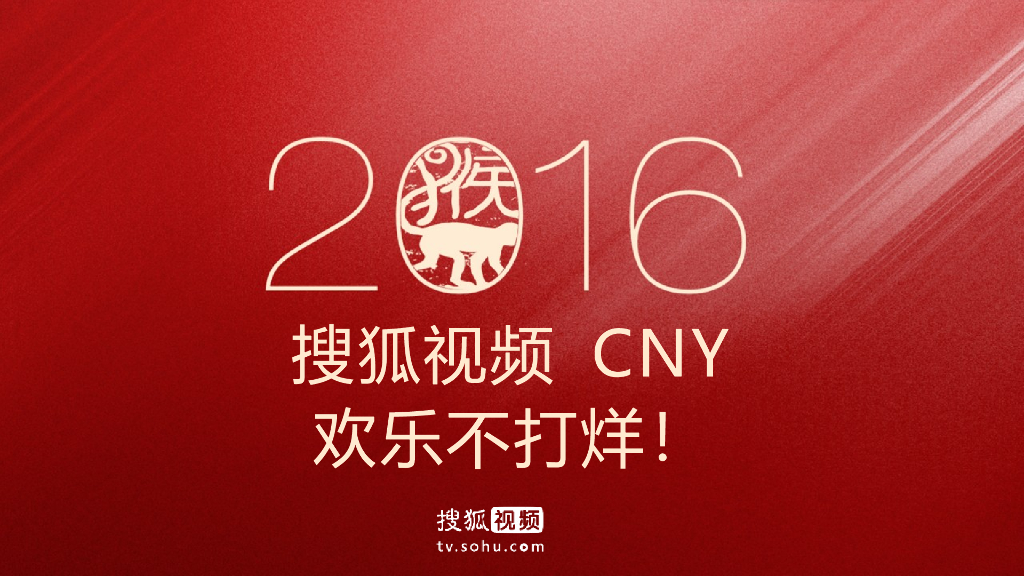 2016搜狐视频CNY招商方案