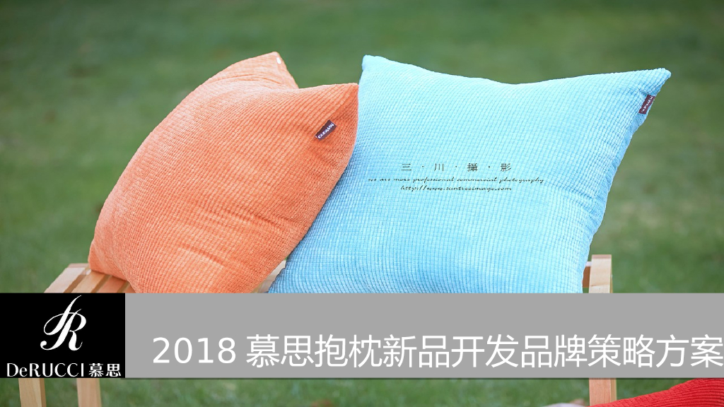 2018慕思抱枕新品开发品牌策略方案